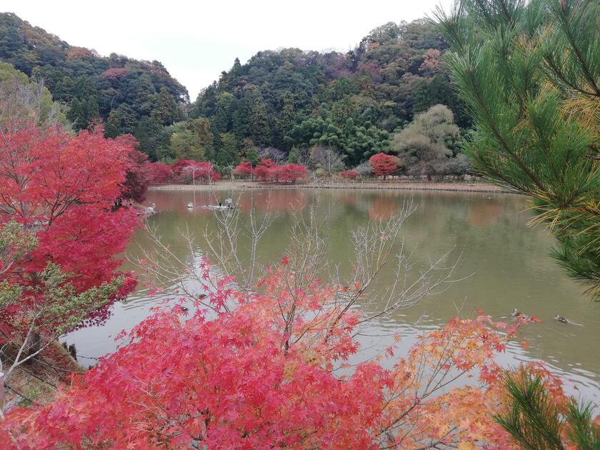 Iwaki City in Fukushima - An Onsen Town with a Tropical Feel