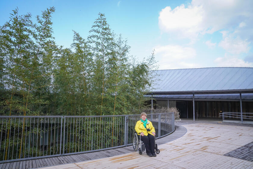 Join Me on an Accessible Tour of Kochi